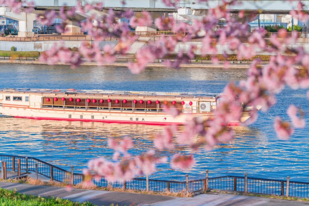 桜と屋形船